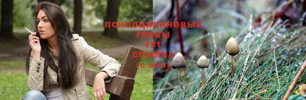 не бодяженный Беломорск